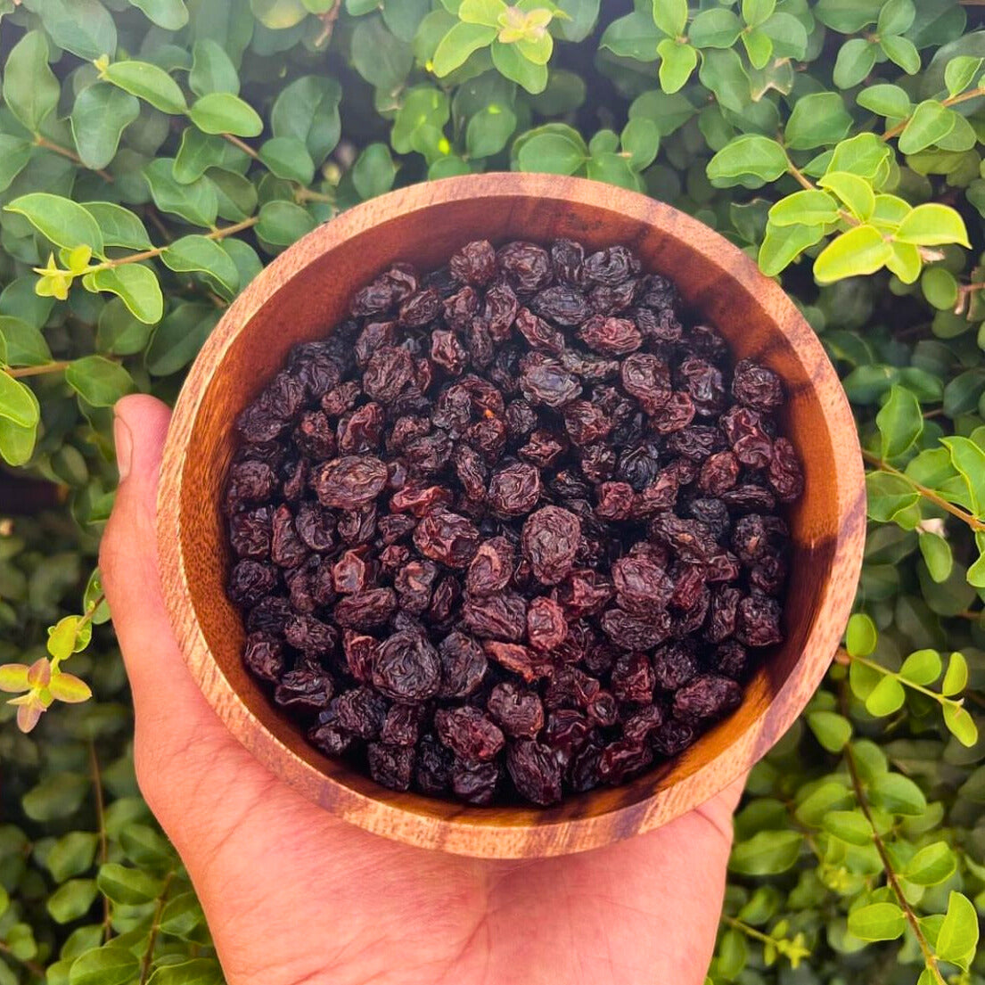 Pasas de Uva moradas (Turcas o Especiales)