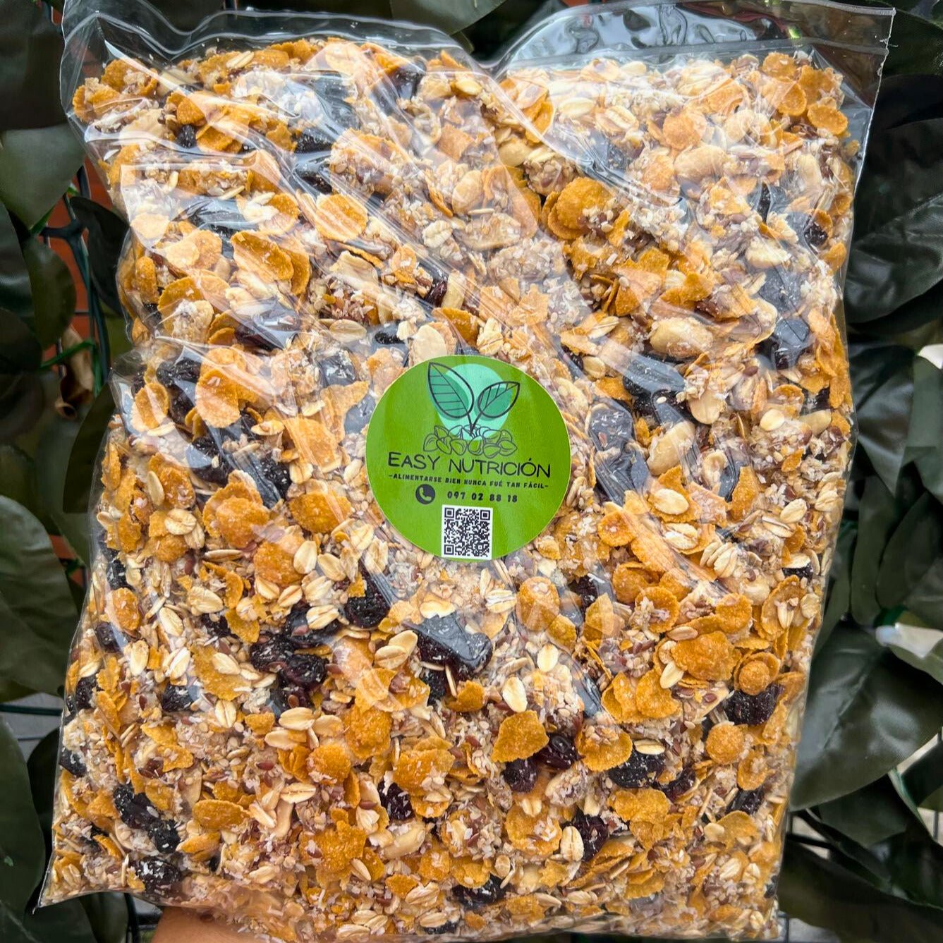 Granola Easy - Easy Nutrición